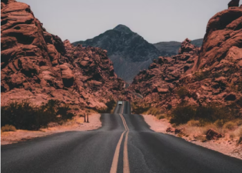 Protect Your Tech: Reviewing the Best Travel-Friendly Laptop Cases