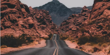 Protect Your Tech: Reviewing the Best Travel-Friendly Laptop Cases