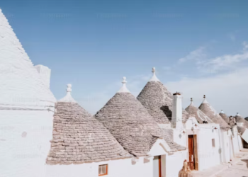 Travel-Friendly Cameras: Capturing Your Adventures in Style