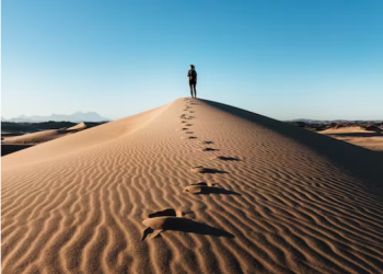 Hydration Solutions: Reviewing the Top Travel Water Bottles