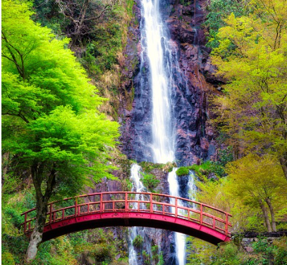 Rafting Adventures: Navigating the World’s Most Exciting Rivers