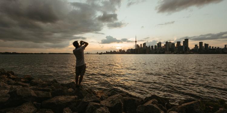 Wildlife Encounters: Safari Adventures and Animal Watching Expeditions