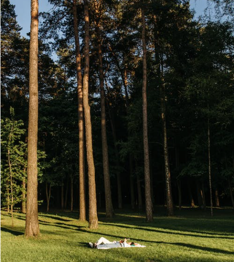 Traditional Festivals and Celebrations: Experiencing Cultural Heritage