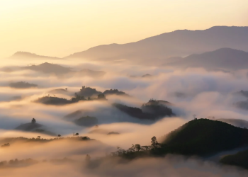 Music and Dance: Exploring the Rhythms of Different Cultures