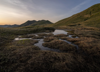 10 Essential Packing Tips for Stress-Free Travel