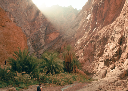 Cultural Heritage Tours: Exploring UNESCO World Heritage Sites