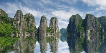 Maximizing Your Travel Rewards: Insider Strategies for Loyalty Programs