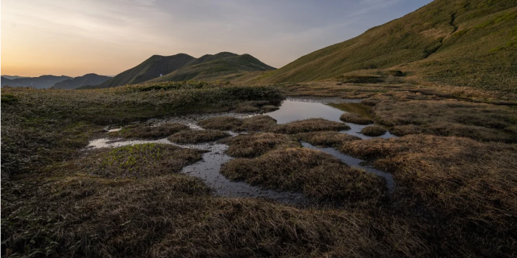 10 Essential Packing Tips for Stress-Free Travel