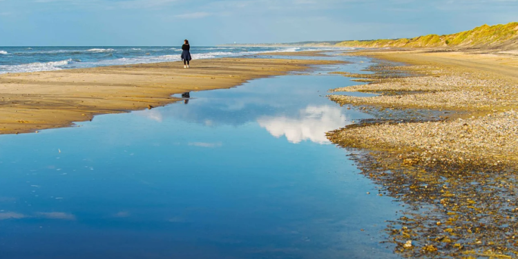 Staying Connected Abroad: Essential Tips for Using Technology While Traveling